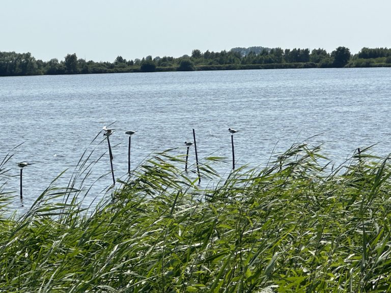 Großes Meer in Südbrookmerland