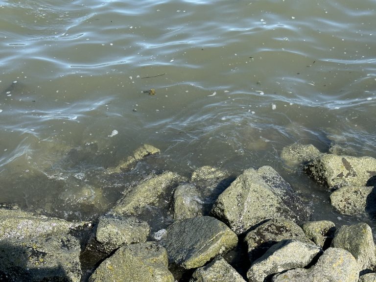 Landschaftsbilder in Ostfriesland in Dornumersiel