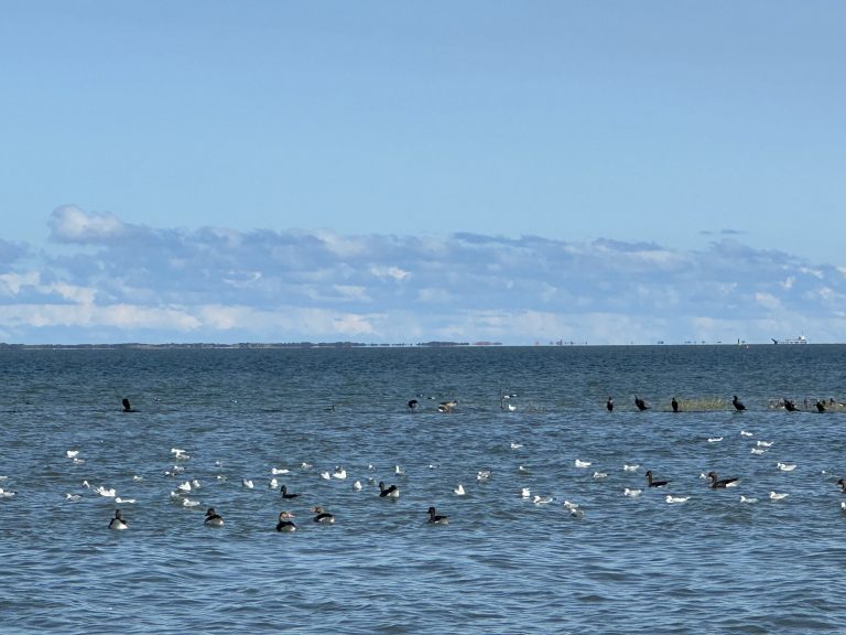 Landschaftsbilder in Ostfriesland in Dornumersiel